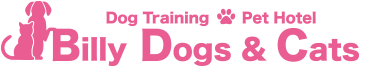 千葉・成田で犬のしつけやペットホテルなら Billy Dogs&Cats ビリードックズアンドキャッツ
