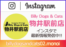 Instagram 物井駅前店