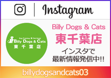 Instagram 東千葉店