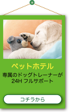 ペットホテル 専属のドッグトレーナーが 24H フルサポート コチラから