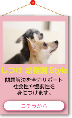 しつけ幼稚園 Style 問題解決を全力サポート 社会性や協調性を身につけます。コチラ
から