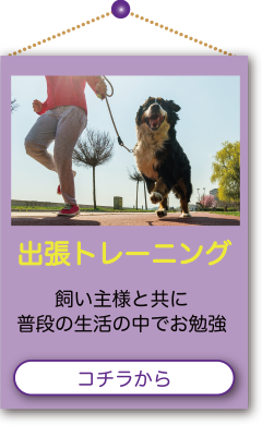 出張トレーニング Style 飼い主様と共に普段の生活の中でお勉強