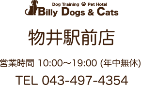 物井駅前店 ・営業時間 10:00～19:00(年中無休)・TEL043-497-4354