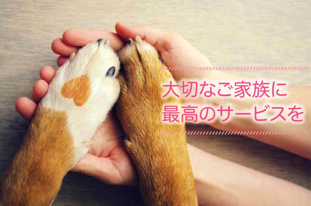 大切なご家族に最高のサービスを