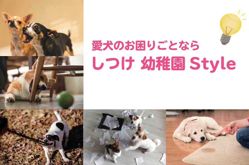 愛犬のお困りごとならしつけ 幼稚園 Style