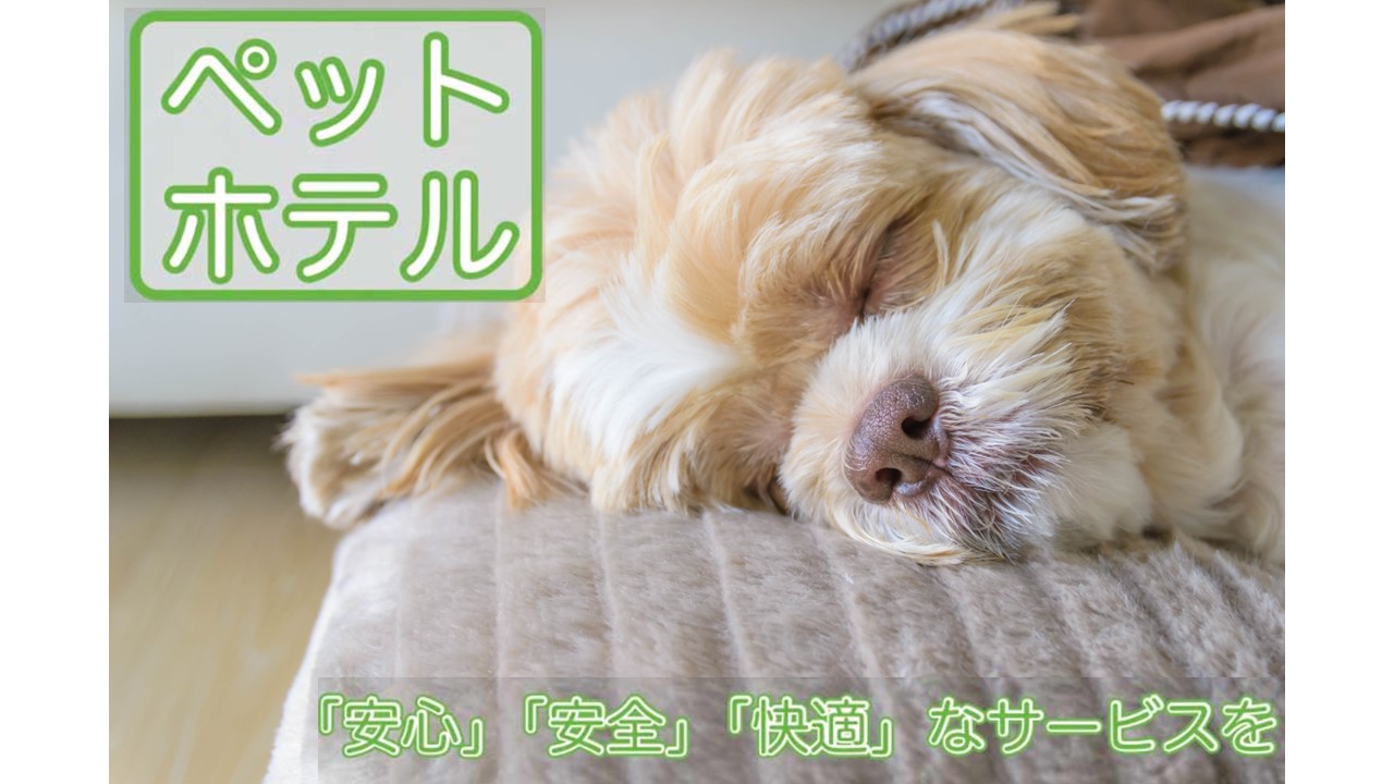 ペットホテル 24 時間完全サポート「安心」「安全」「快適」なサービスを