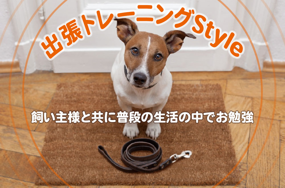 出張トレーニング Style 飼い主様と共に普段の生活の中でお勉強